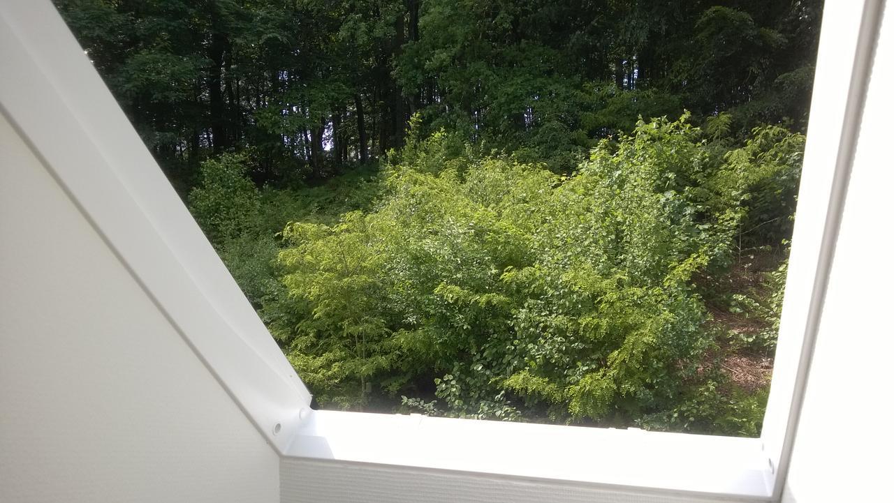 Moselundgaard B/B Og Hestehotel Engesvang Екстер'єр фото